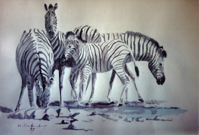 Bild Zebras am Wasserloch von Uli Aschenborn